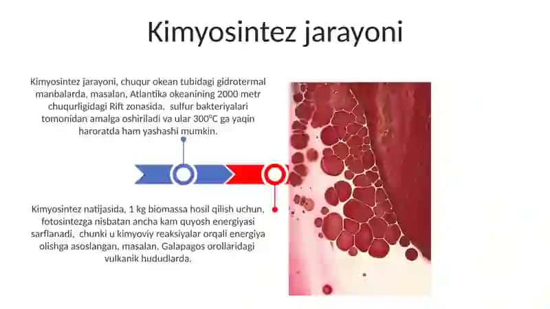 Xemosintez 3