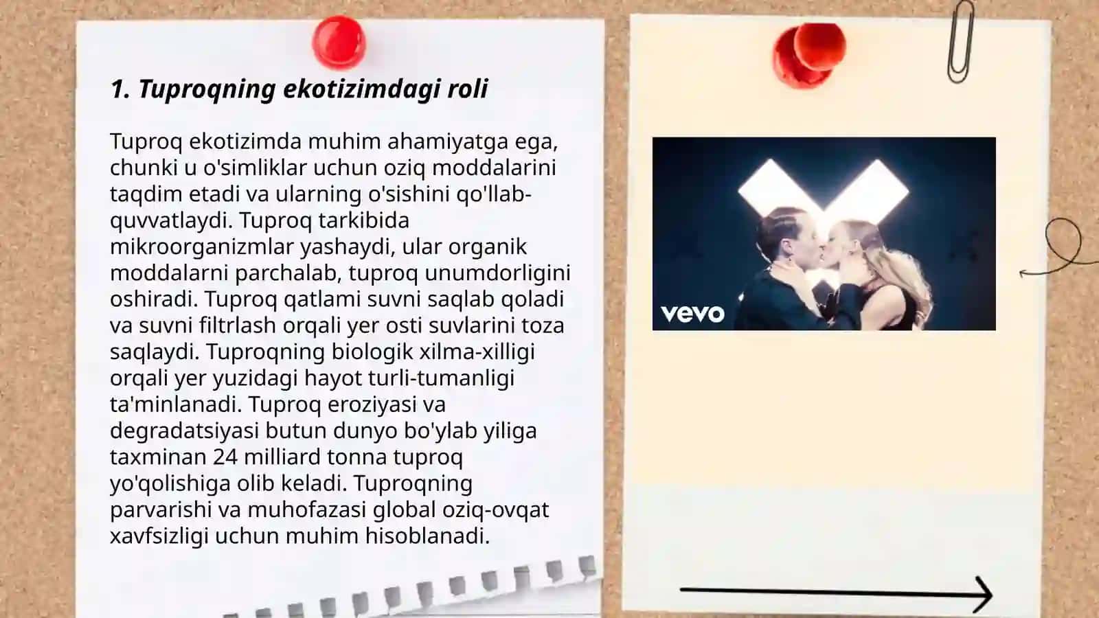 Tuproqning ekotizimdagi roli 3
