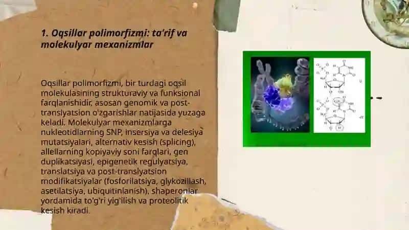 Oqsillar polimorfizmi 3
