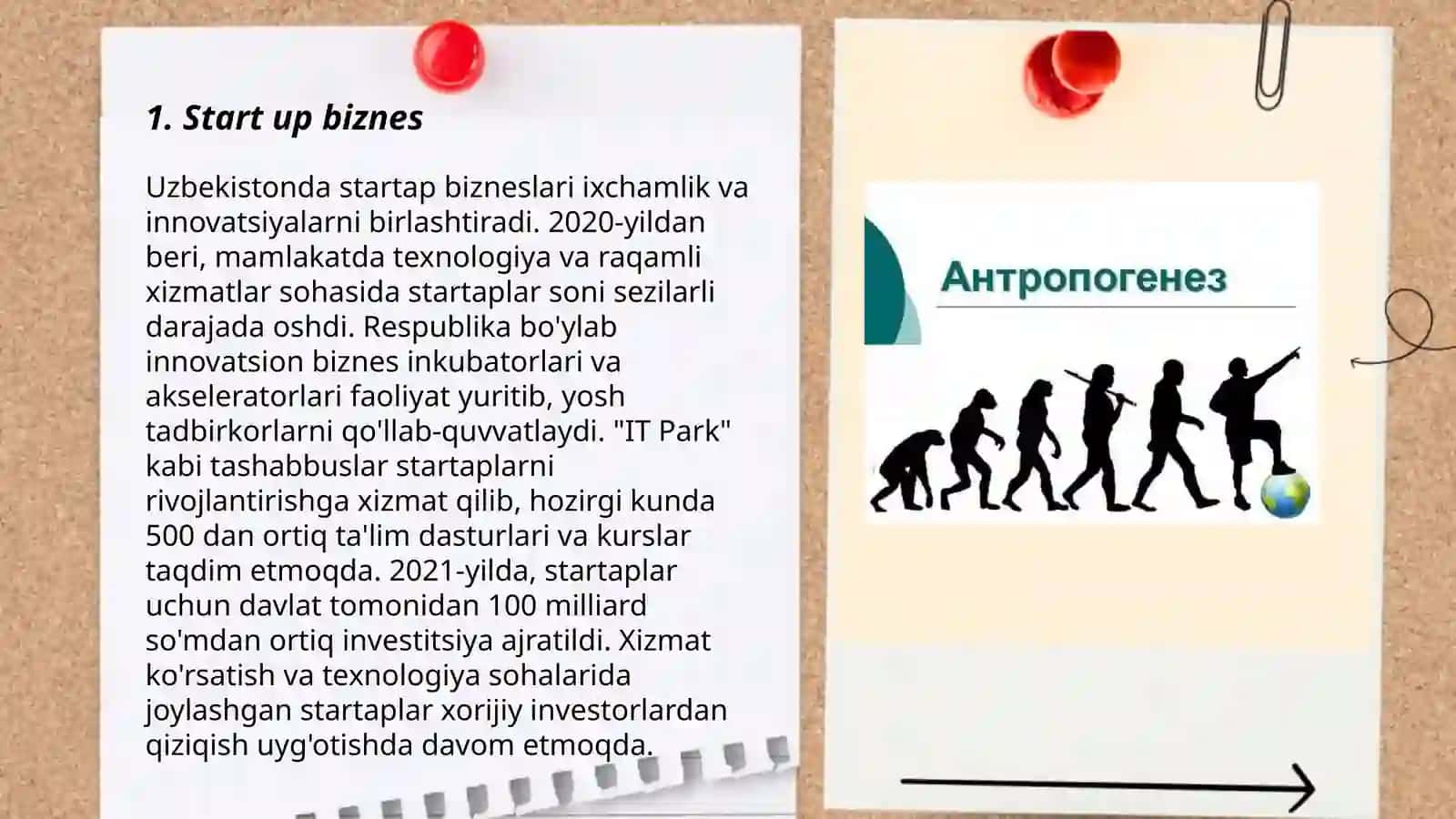 Start up biznes 3