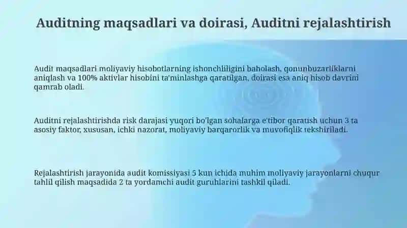 Auditning Maqsadlari va Doirasi 3