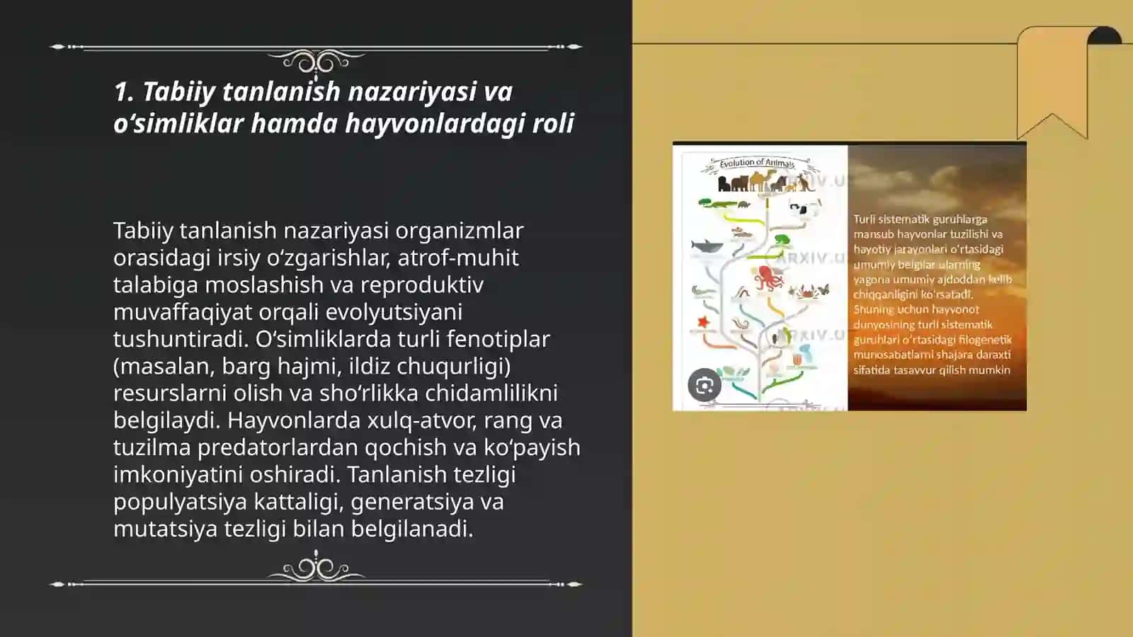 O‘simliklar va hayvonlar evolytsiyasi 3