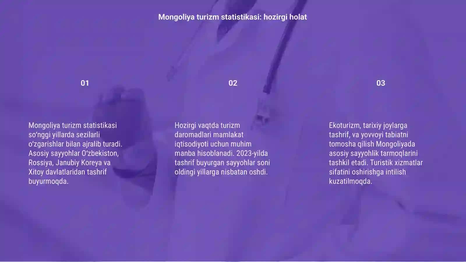 Mongoliya turizm statistikasi: hozirgi holat 3