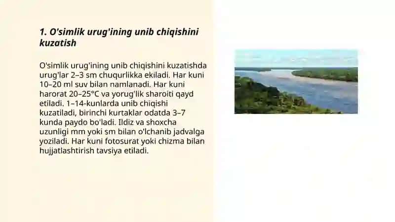 O'simlik urug'ining unib chiqishini kuzatish 3