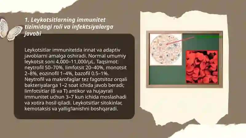 Qon elementi tarkibiga kiruvchi lekotsitlar, eretrotsitlar va trombatsitlarning roli 3
