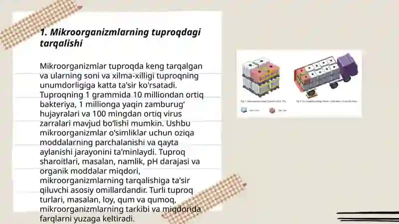 Mikroorganizmlarni tabiatda tarqalishi 3