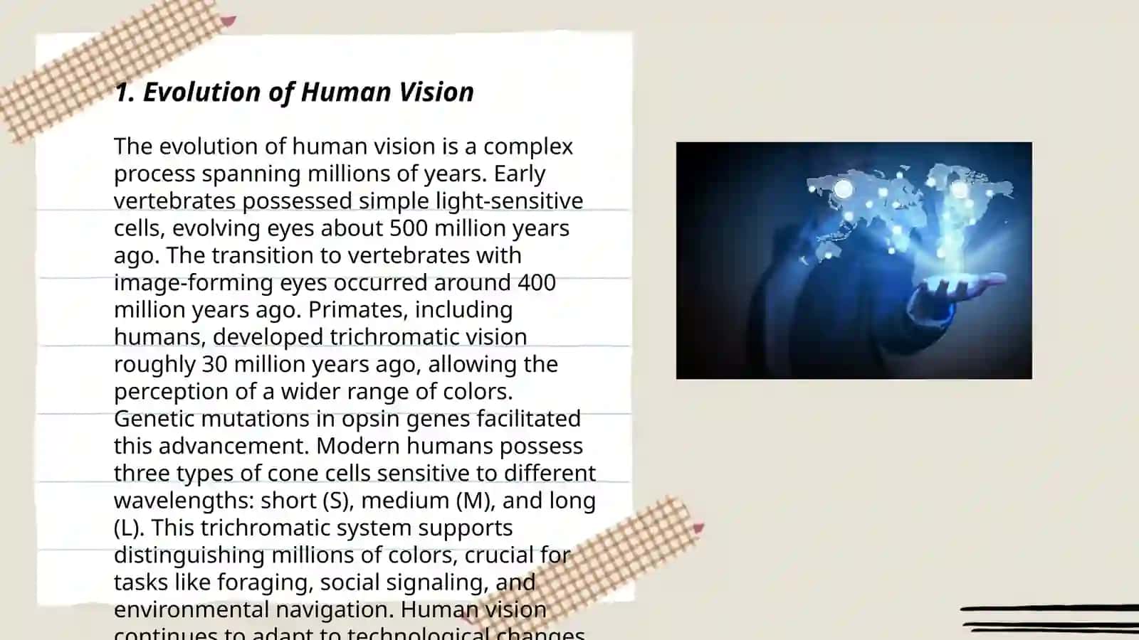 Vision.Our world our sense 3