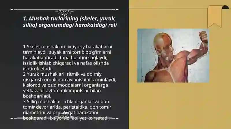 Organizmdagi mushaklar harakati 3