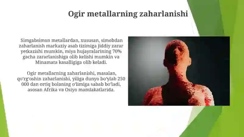 Ogir metallarning zaharlanishi 3