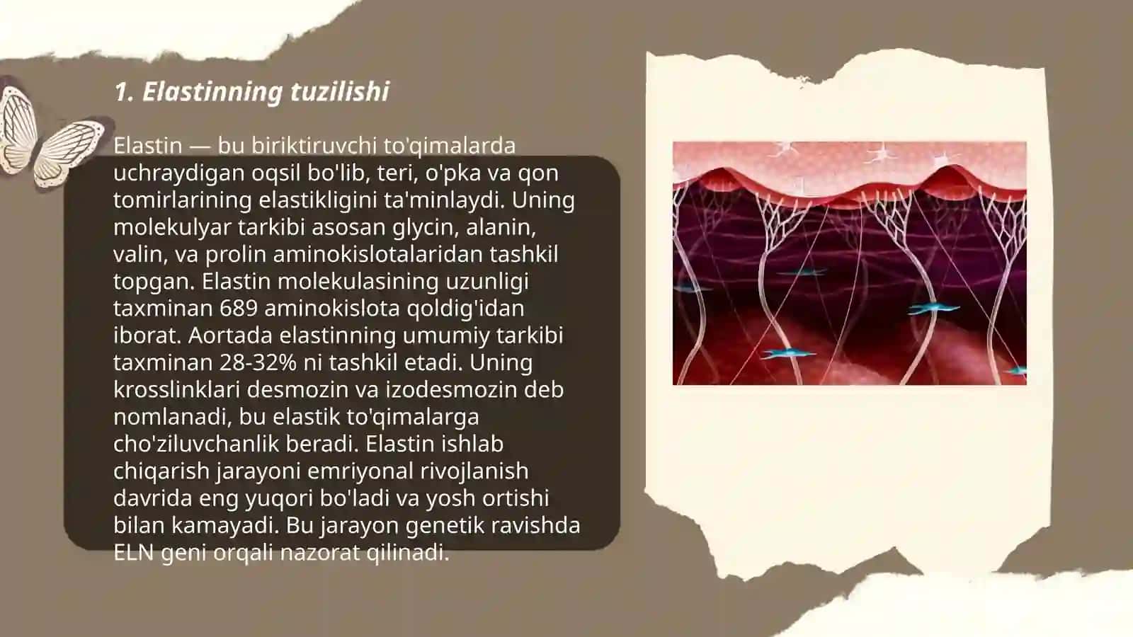 Biologiyadan elastin sintezi 3