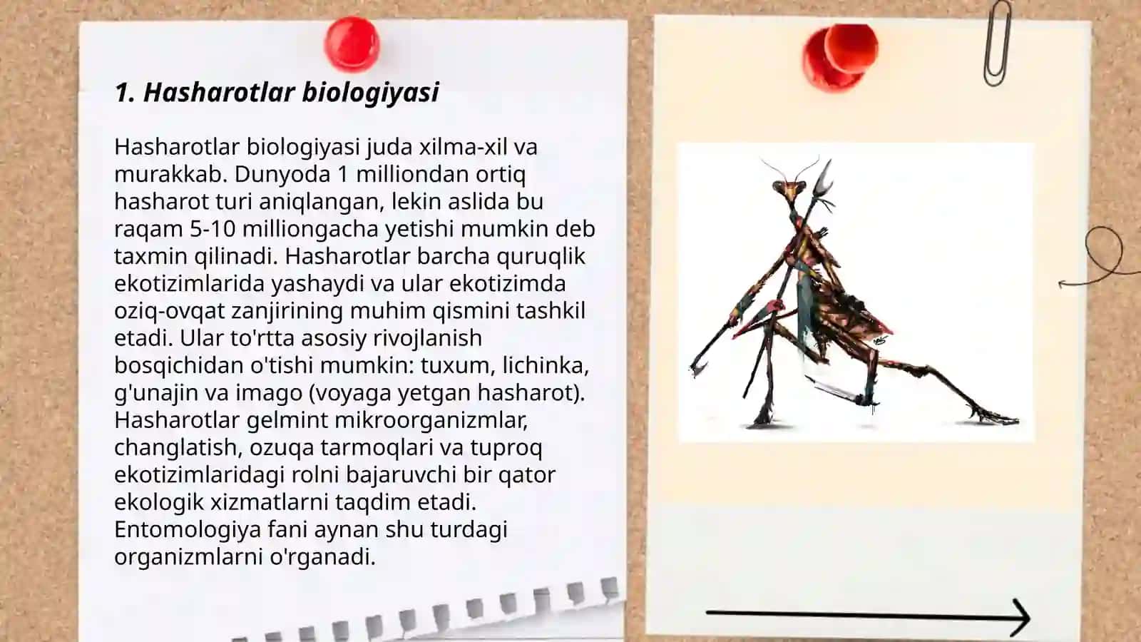 Hasharotlar biologiyasi 3