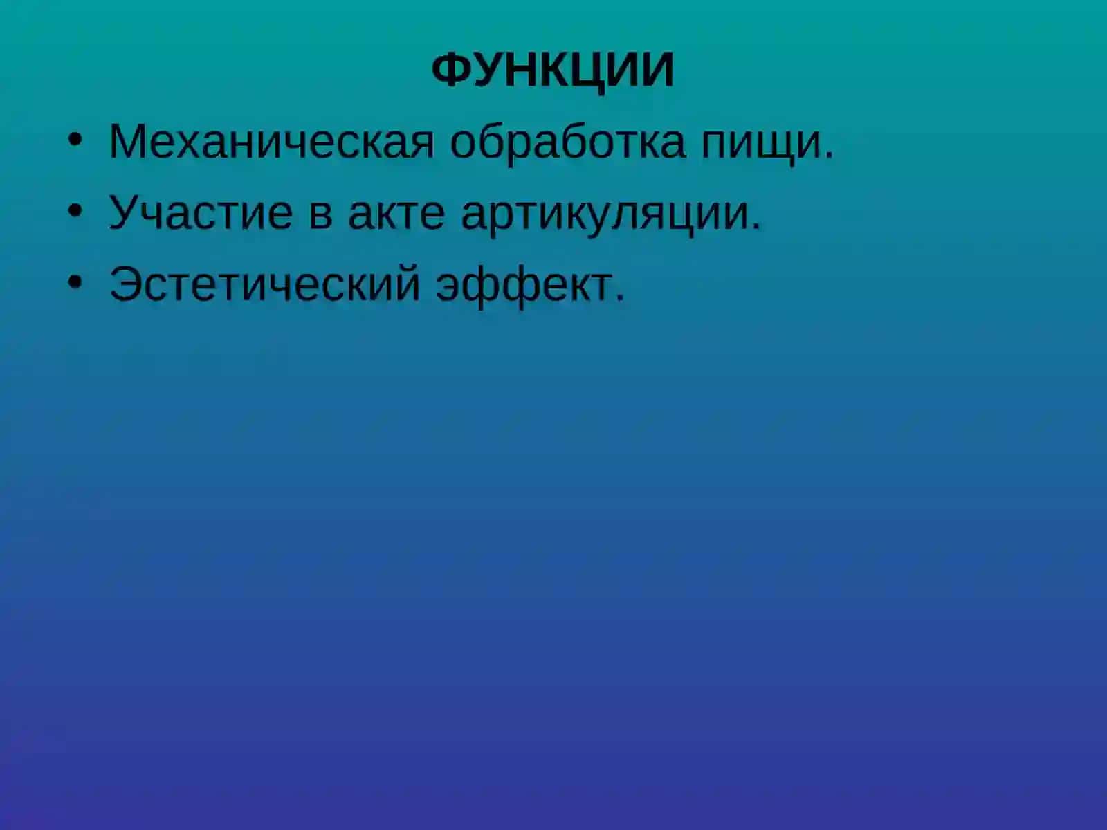 Строение и функции зубов 3