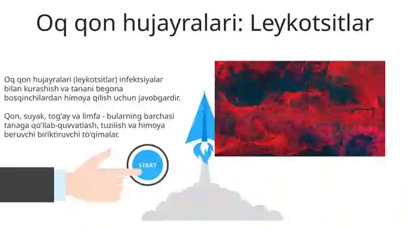 Leykotsitlar 3