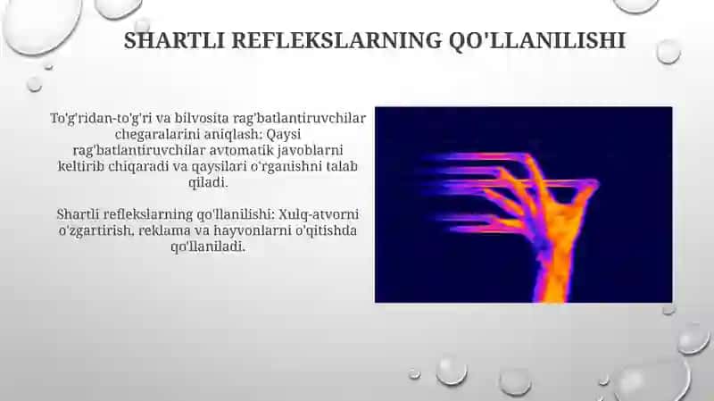 Shartli reflekslarning shakllanishini oʻrganish 3