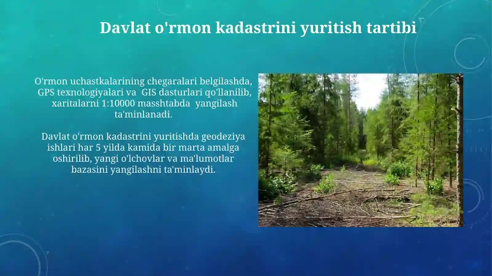 Davlat oʻrmon kadastri yuritish tartibi 3