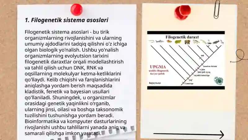 Filogenetik sistema asoslari 3