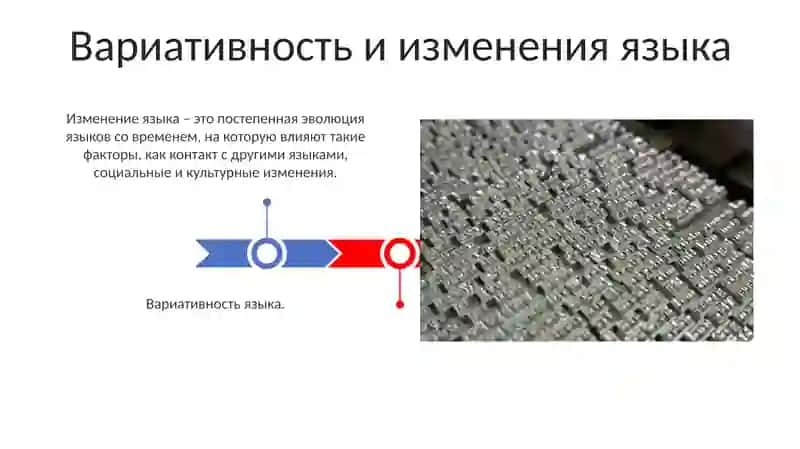 Язык и общество 3