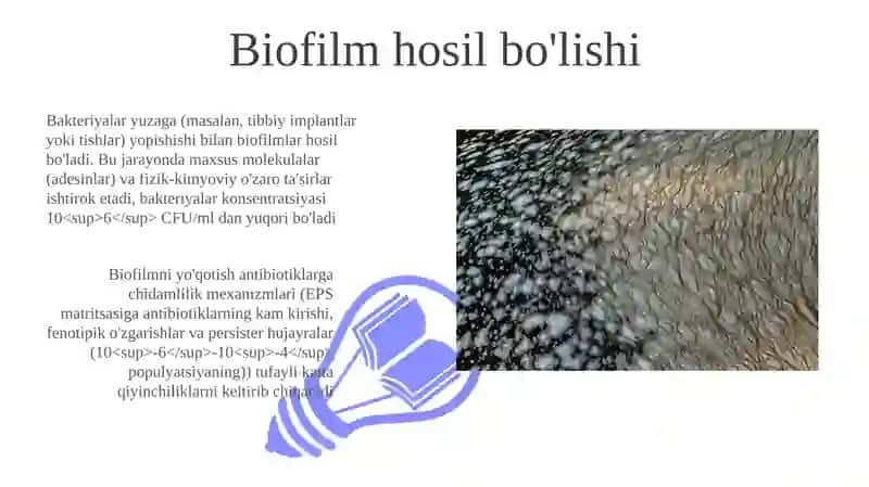 Bakteriyalarning bioplenkasi 3