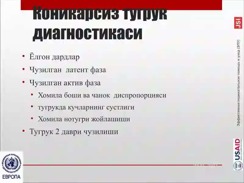Коникарсиз тугрук 3