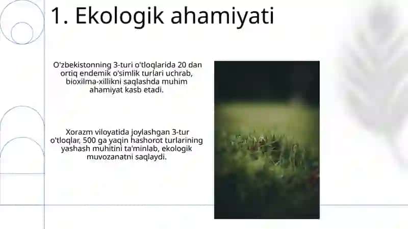 Otlarning uchinchi turlanishi 3