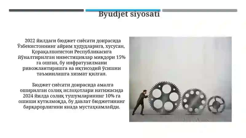 Byudjet siyosati 3