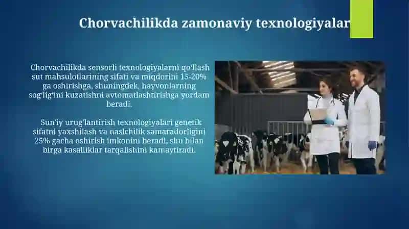 Chorvachilik va chorvachilik 3