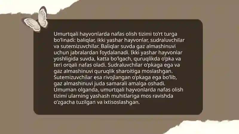Nafas olish a'zolari filogenezi 3