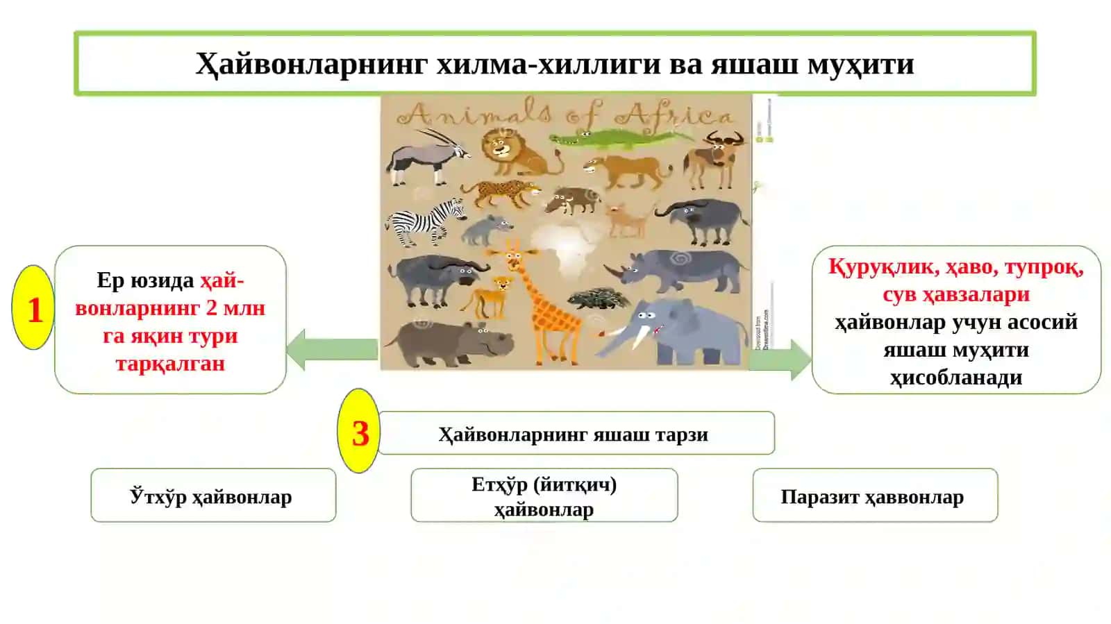 ҲАЙВОНОТ ОЛАМИНИНГ АЙРИМ ТУРЛАРИ 3