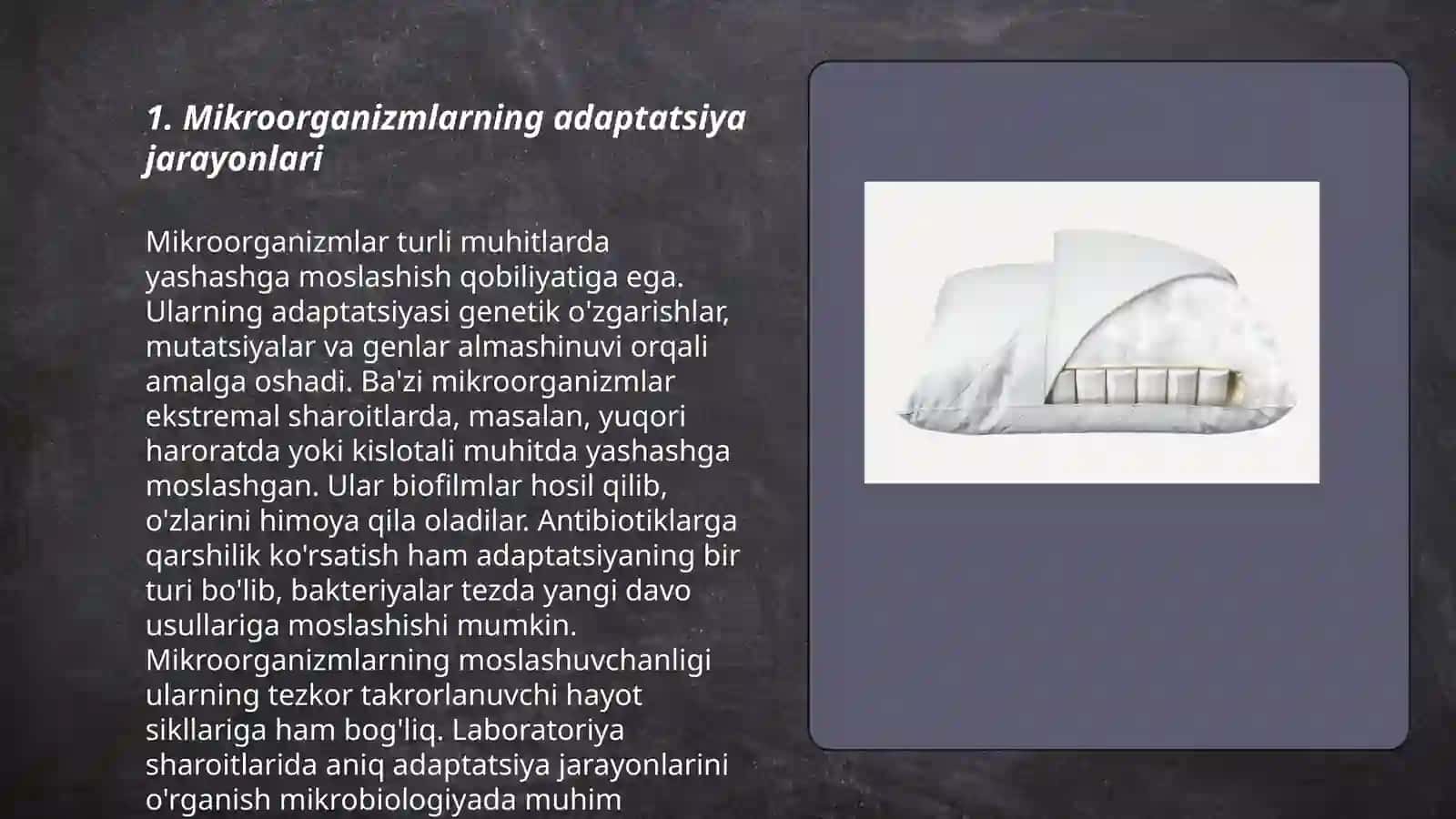 Mikroorganizmlarning muhitga moslashuvi Davlatova 3