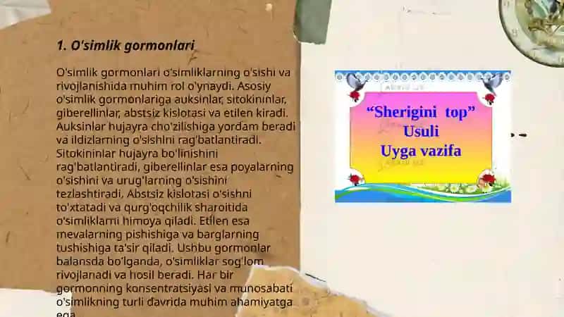 O'simlik Gormonlari 3