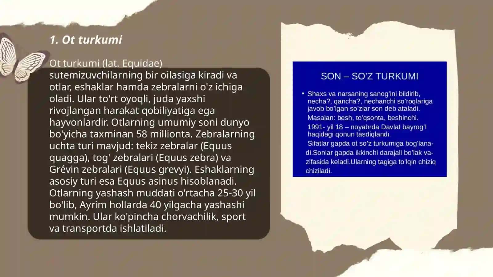 Ot turkumi 3