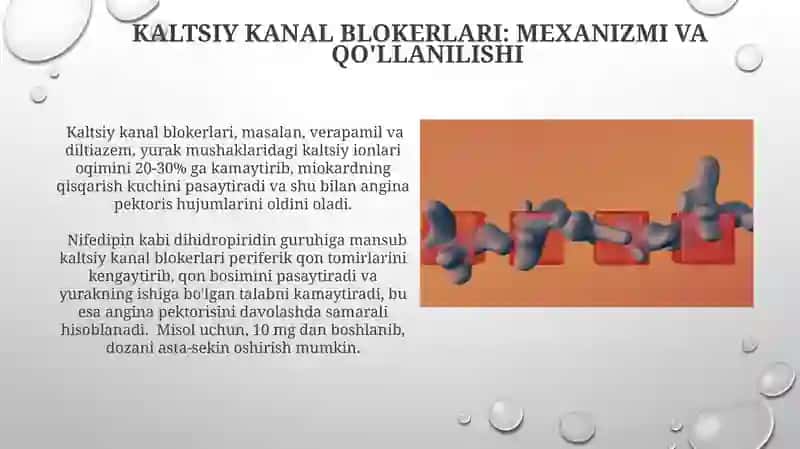 Kaltsiy kanal blokerlari 3