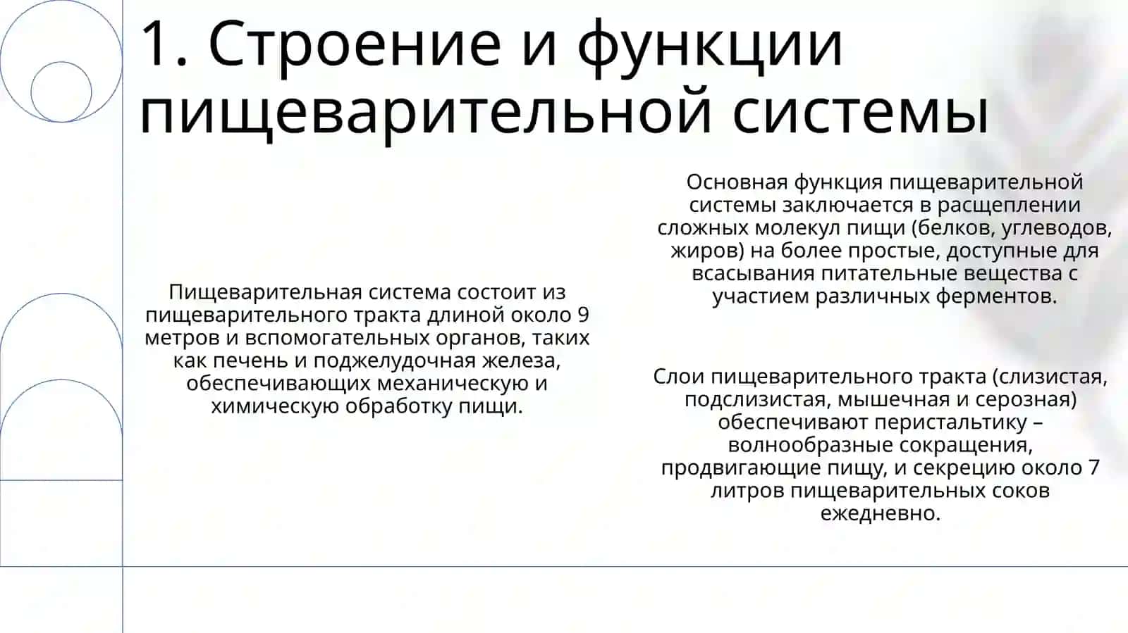 Система пищеварения 3