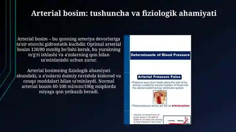 Arterial bosimni aniqlashning fizik asoslari 3