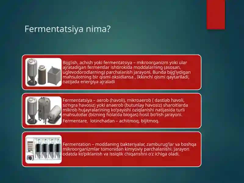 Fermentatsiyajarayonlari(non,sut,pivo, vino) 3