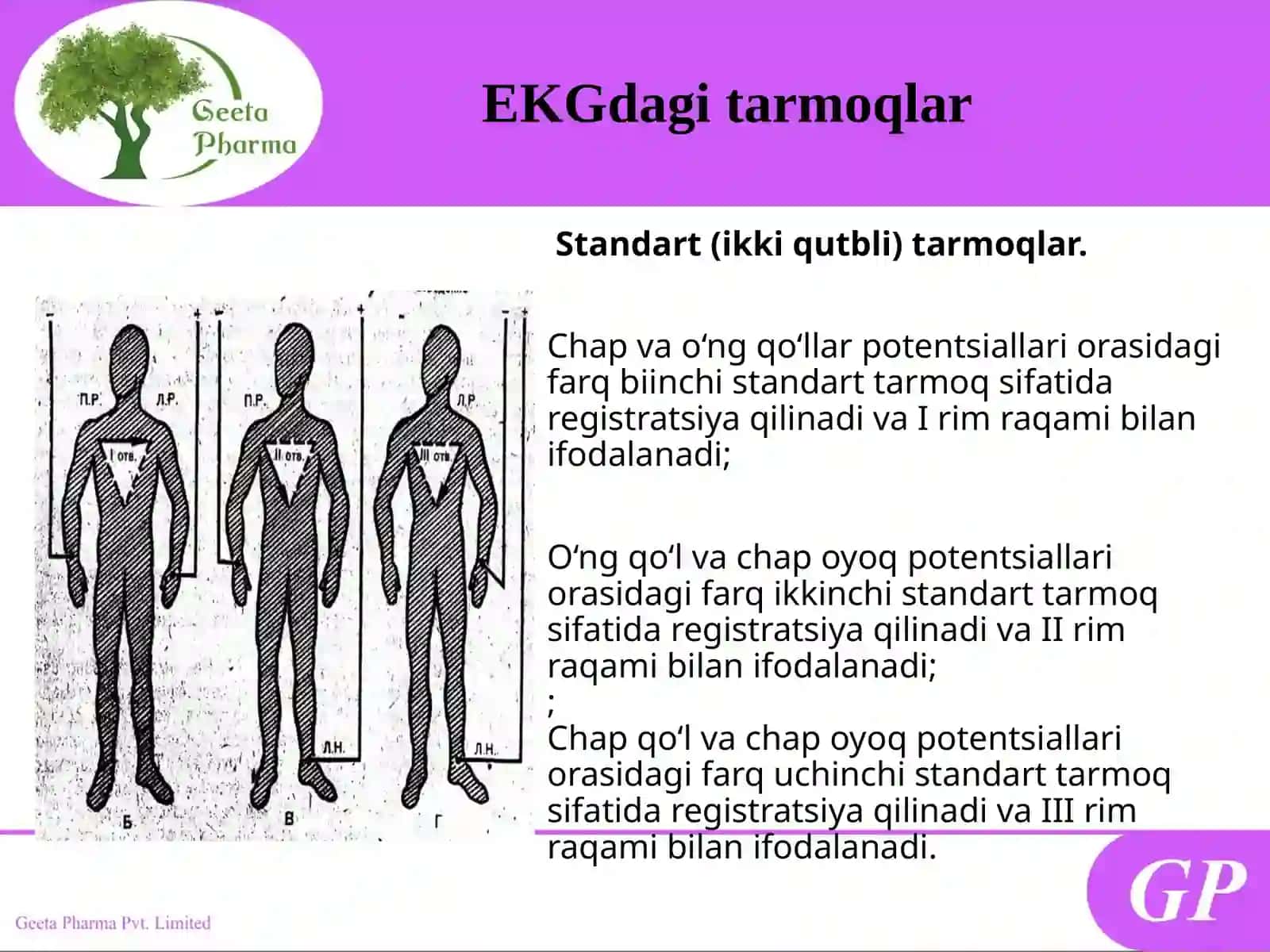 Eléktrokardiográfiya 3