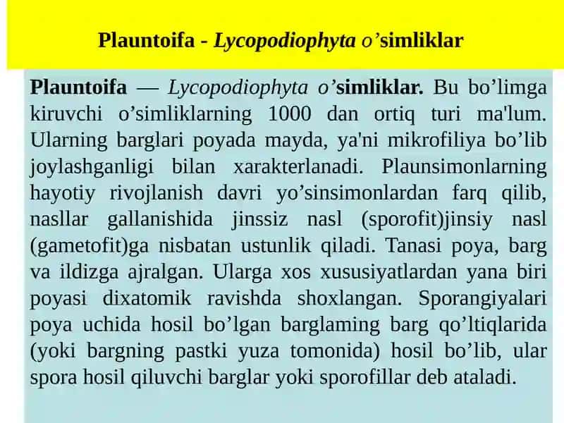 Plauntoifa — Lycopodiophyta o’simliklar bo’limi 3