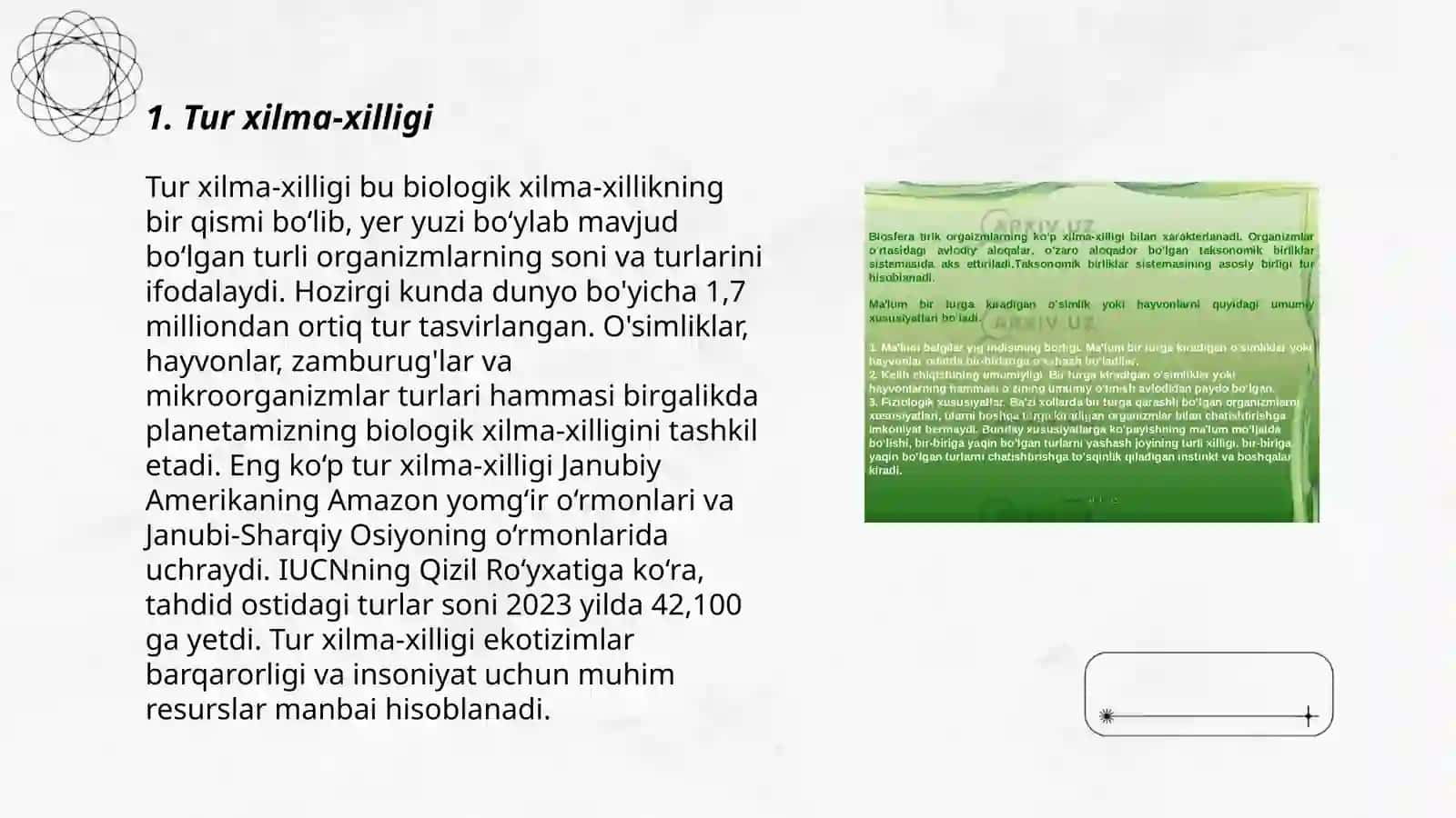 Tur xilma-xilligi 3