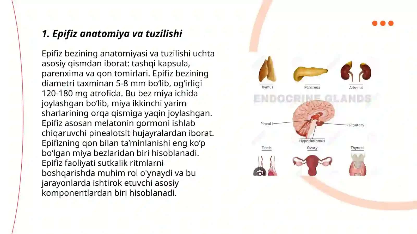 Ichki sekretsiya bezlarini tekshirish usullari. Epifiz 3