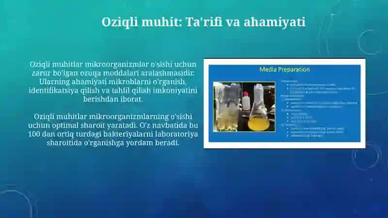 Oziqli muhitlar, ularning tasnifi 3