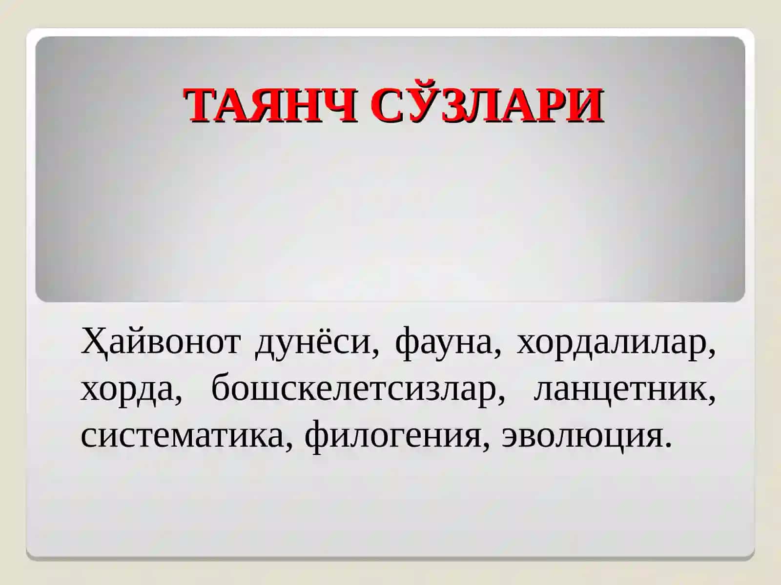 Бошскелетсизлар кенжа типининг умумий тавсифи 3