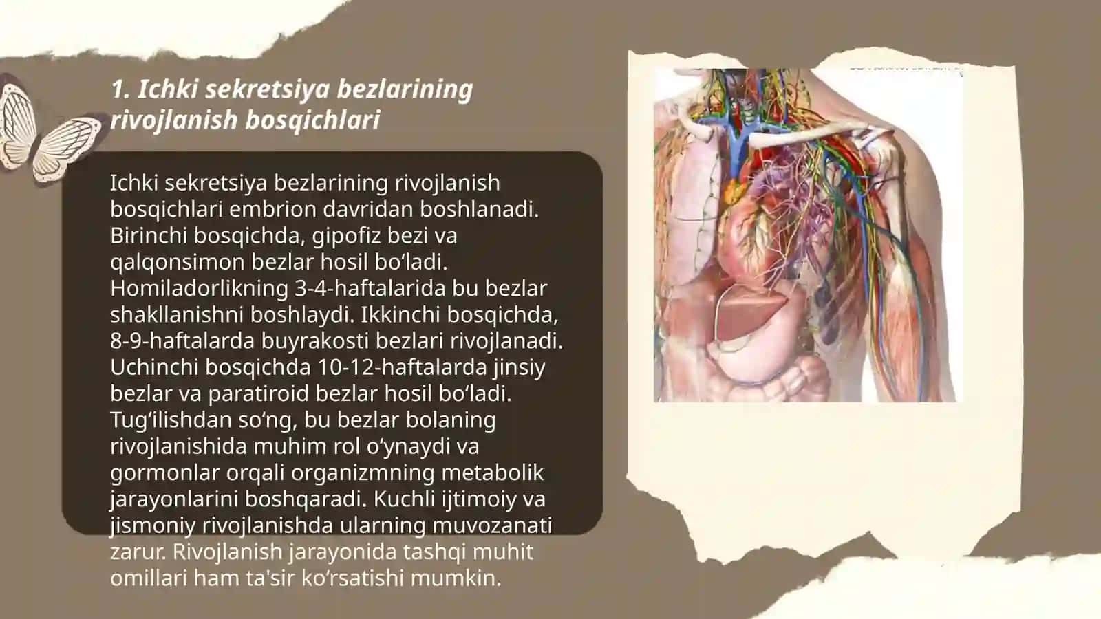 Ichki sekretsiya bezlarining yosh xususiyatlari 3