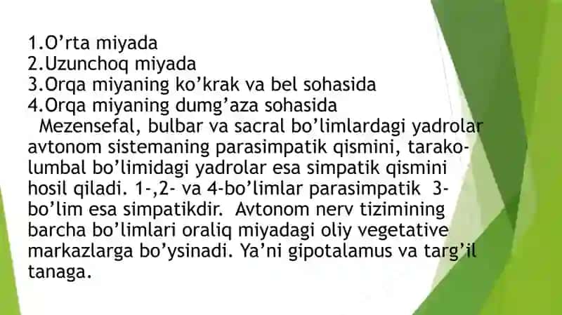 mustaqil ish 3
