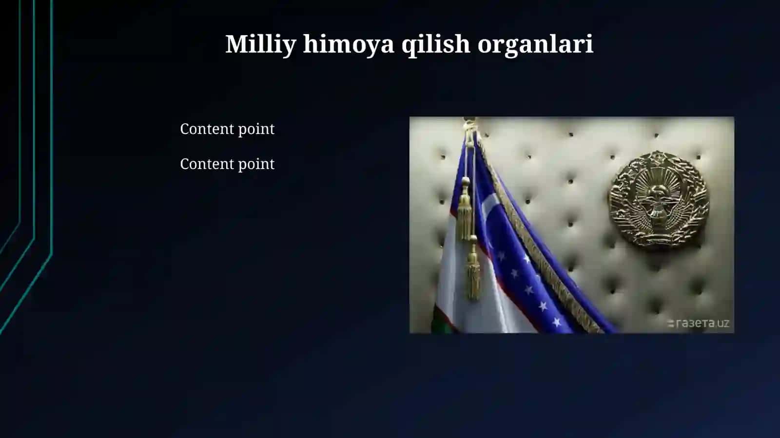 Milliy himoya institutlari 3