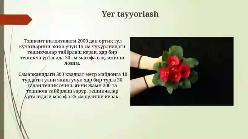 Gul oʻsimliklar ekish 3