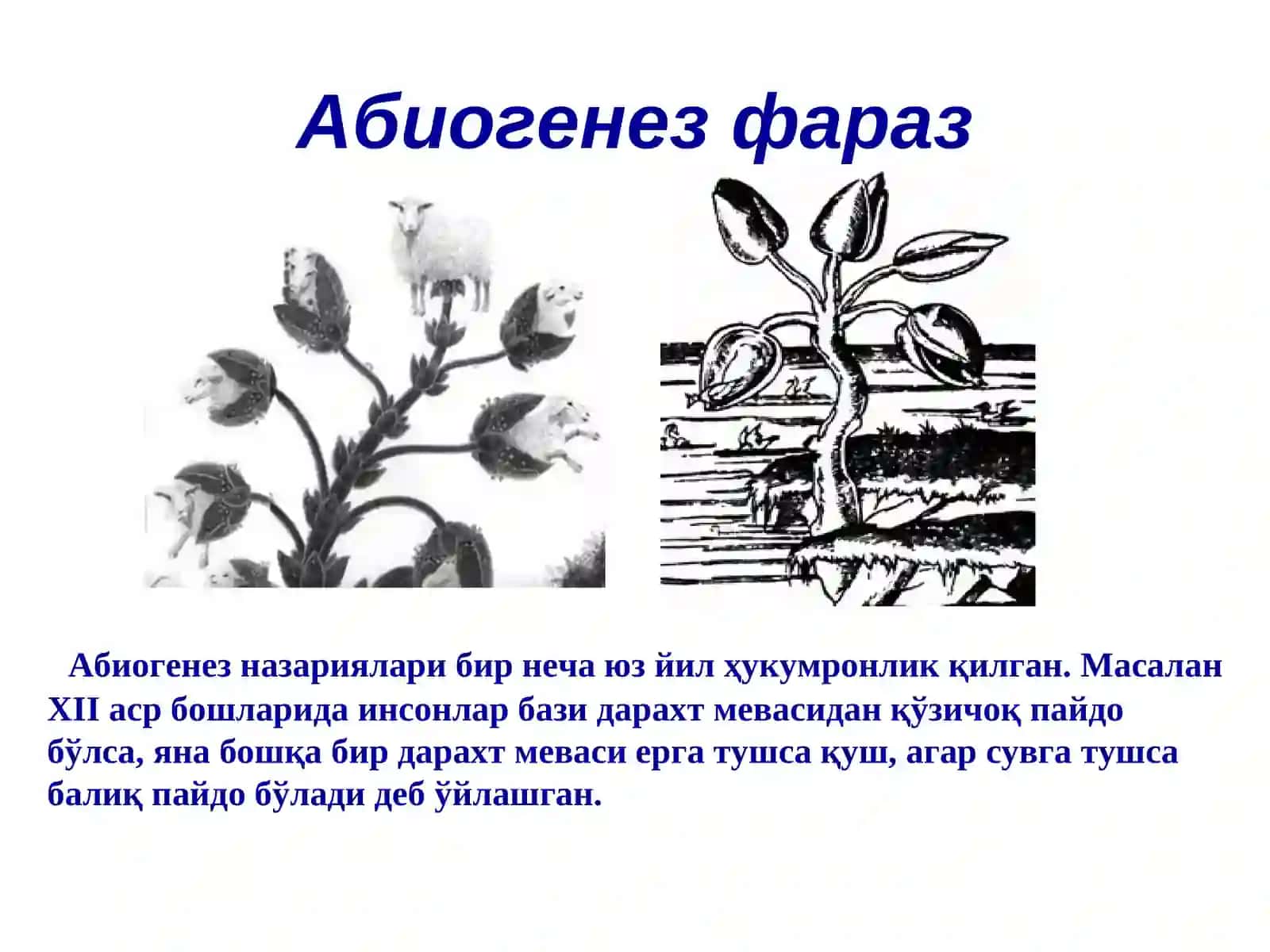 Ерда ҳаётнинг пайдо бўлиши 3
