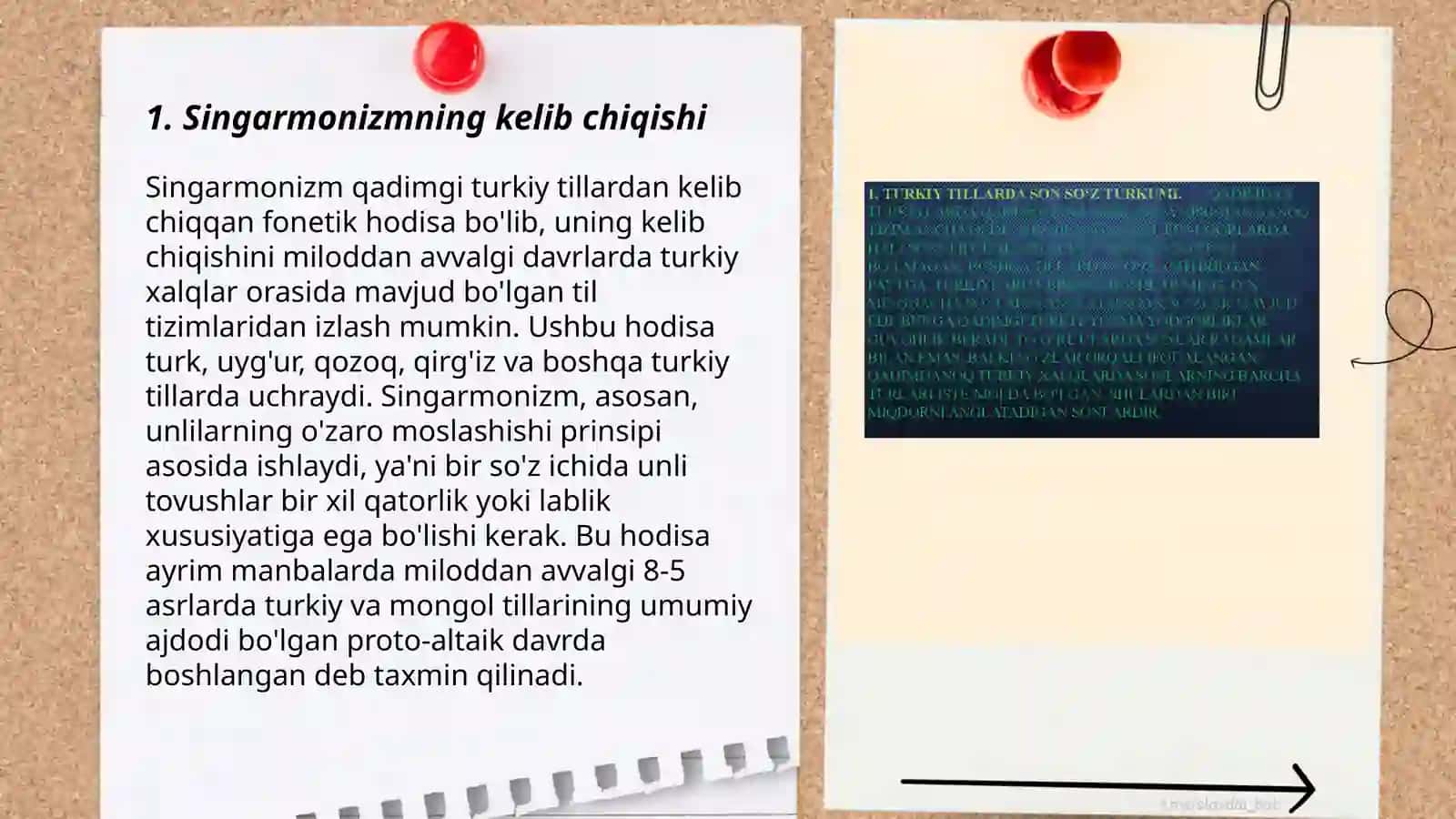 Turkiy tillarda singarmanizm 3