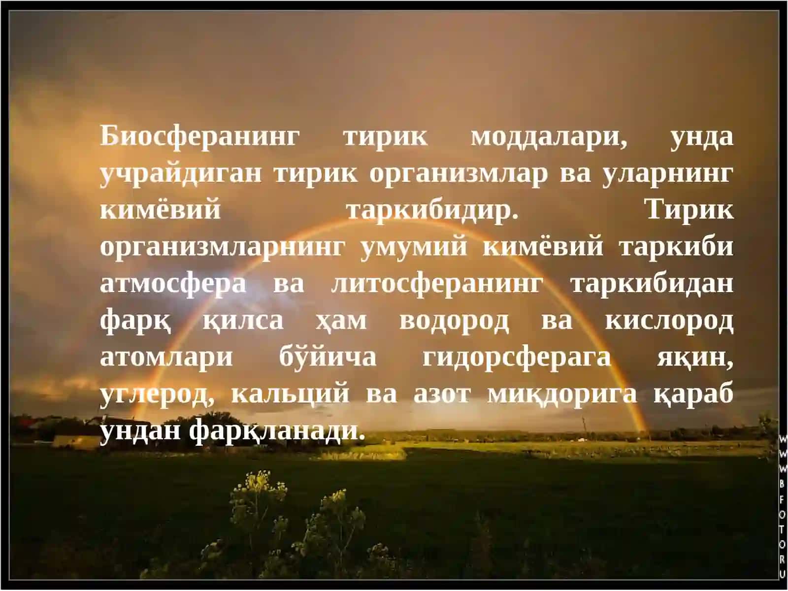 БИОСФЕРА ВА УНИНГ ТАДКИК КИЛИШ МУАММОЛАРИ 3