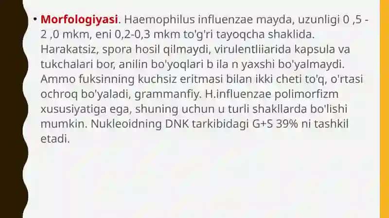 Inflyuens qo'zg'atuvchisi (Haemophilus influenzae) 3