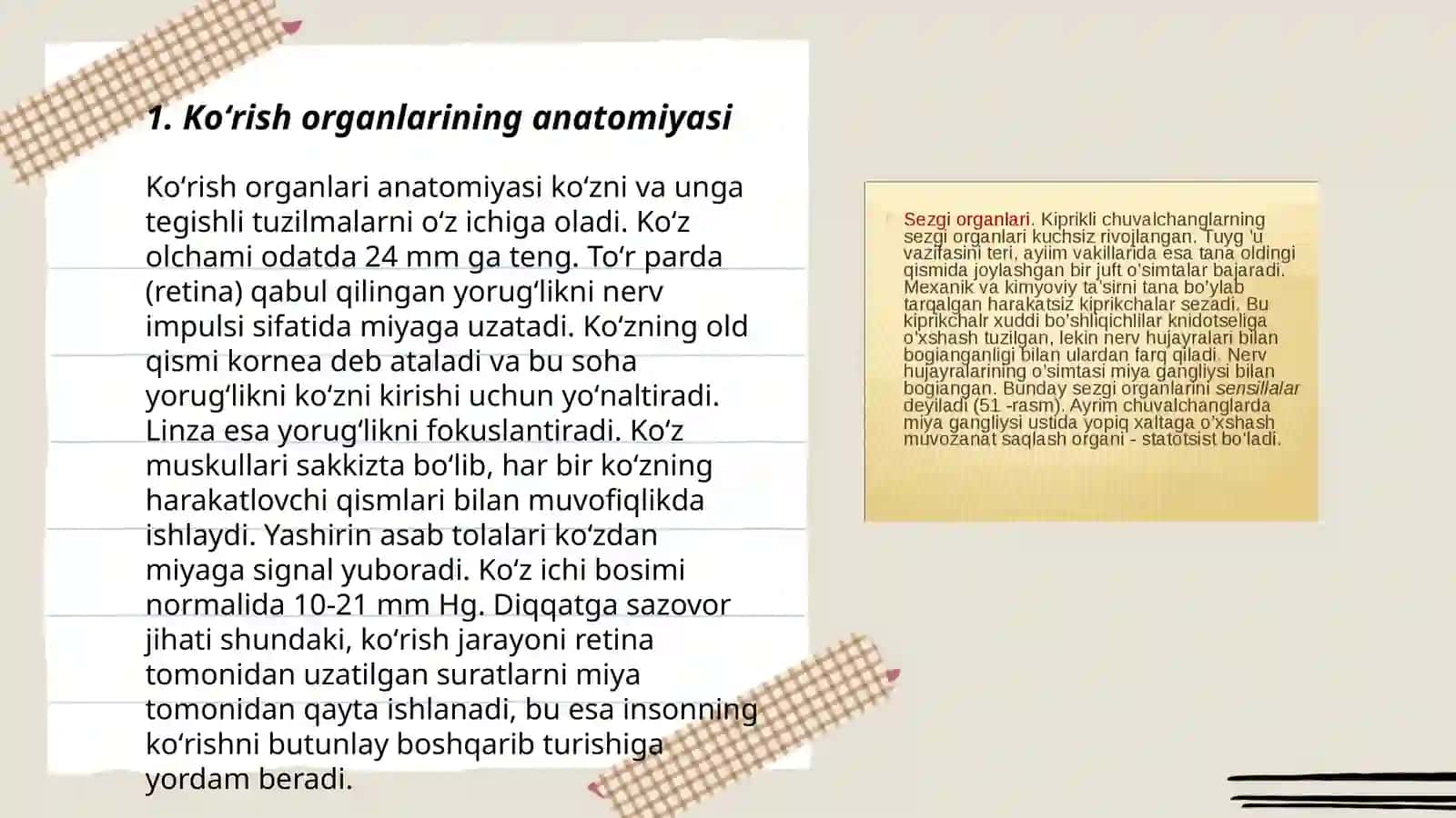 Koʻrish va eshitish organlarining xususiyati va gigiyenasi 3